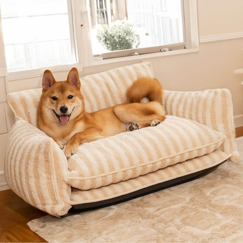 Tail Couch