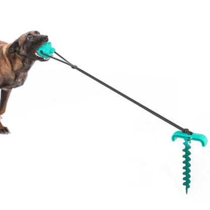 Anchor Pull Dog Toy