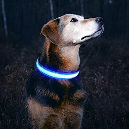 LED Dog Collar