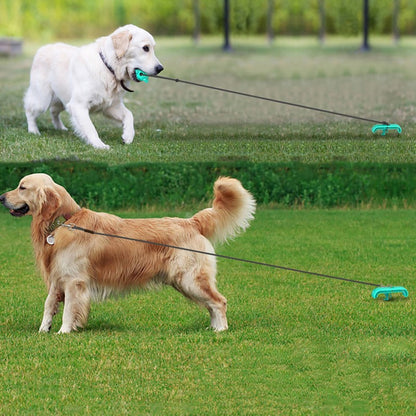 Anchor Pull Dog Toy